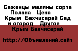 Саженцы малины сорта Полана › Цена ­ 35 - Крым, Бахчисарай Сад и огород » Другое   . Крым,Бахчисарай